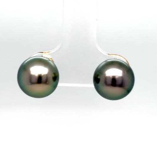 14KY 9.5MM BLACK PEARL EARRINGS-Fine Jewelry in Bradenton &amp; Lakewood Ranch, Fl. | Michael &amp; Co. Jewelers