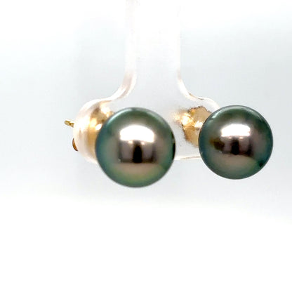 14KY 9.5MM BLACK PEARL EARRINGS